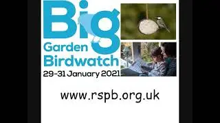 Big Garden Birdwatch final clip 0001