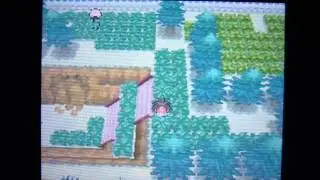 Pokemon Black 2 Walkthrough Part 40:Route 9 and the Shopping Mall Nine!
