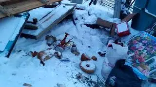 180224,Хлеб на помойке - очередной мировой рекорд путина?