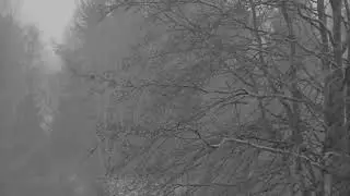 Experience The Tranquility Of a Blizzard With The Heavy Snowing Sounds For a Peaceful Sleep
