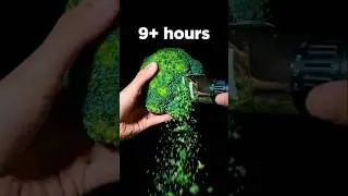 I shaved 9,999 broccoli floret for THIS 🥦😳