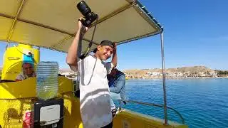 Sharm El Sheikh , excursie printre corali ( parea I)
