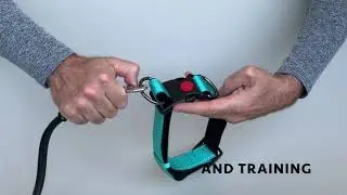 Rukka Pets SOLID Collar Key Features