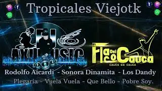 Tropicales Viejotk// Rodolfo Aicardi //Sonora Dinamita // Los Dandy / Dj Axi Music / Flaco Del Cauca