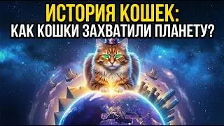 ИСТОРИЯ КОШЕК: как КОШКИ захватили планету?
