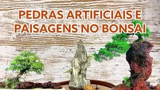 Como fazer pedra artificial e paisagens de Bonsai? Bergson Vasconcelos