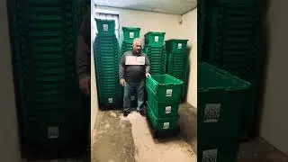 Cardboard Moving Box is a Hassle