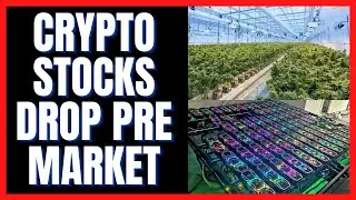 Crypto Stocks Fall Hard in Pre Market $SOS $CAN $RIOT $EBON $EH $TLRY $APHA $GTEC $RIGL