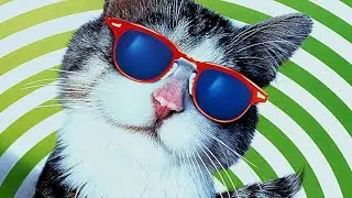 That Darn Cat Full Movie Facts And Information | Christina Ricci | Doug E. Doug