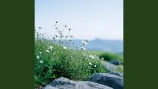 Everything is beautiful in its time