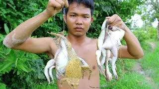 Primitive Technology : Find frogs in hole​​ and Cooking frogs soup Recipe - factory food village