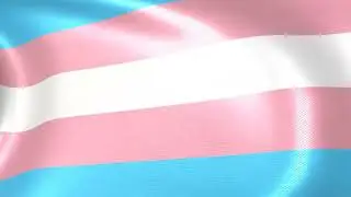 Monica Helms's Transgender Pride flag waving in the wind