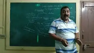 Types of pollination- wind and water pollination