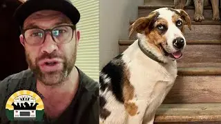 A very scary 10 hours | The Asher House