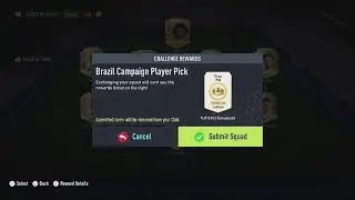 Brazil Campaign Bag PP