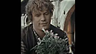 Samwise Gamgee edit || LOTR #lotr #lotredit