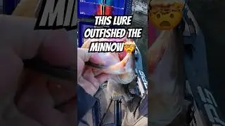 This Lure OUTFISHED a Jig Head Minnow🤯