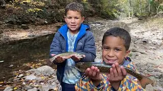 Trout Fishing, Hiking & Cavern Exploring Family Adventure in Virginia #trout #virginia #adventure