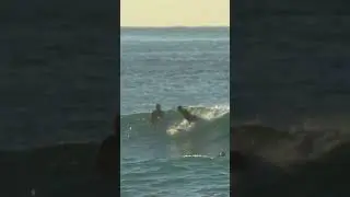 Surfing SECRET hidden break, Sydney - Sunrise