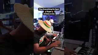 Play Everything On Spot Organ #Moneondabeat #Music #musicproduction #musicproducer