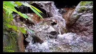 Gentle River Sounds for Better Sleep (01)