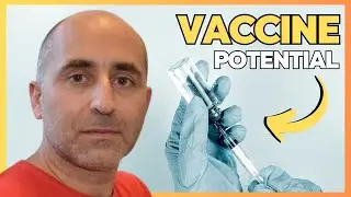 Dr. Joaquim Segal&eacute;s: Porcine Circovirus Type 3 (PCV3)