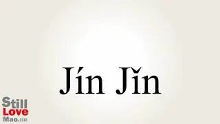 How to Say Merely in Chinese
