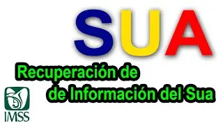 Como RECUPERAR Informaci&oacute;n del SUA sino pudiste respaldarlo desde la aplicaci&oacute;n