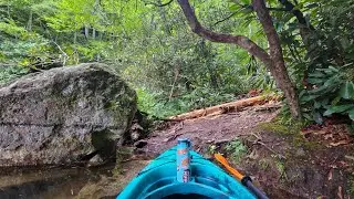 Bear Creek Lake Paddle to Lower Sols Creek Falls, NC