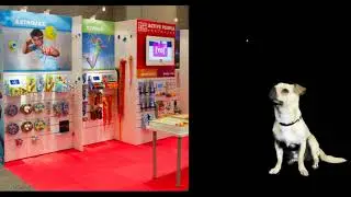 Custom Trade Show Exhibit featuring Xylea-Wood Lightweight Slatwall Panels.