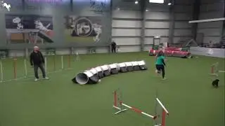 Agility German Classics Vorrunde Team 