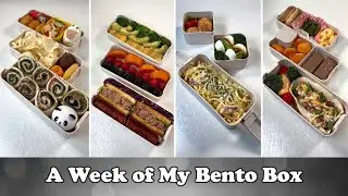 ASMR🎧A Week of My Bento Box🍱#4 | lunchbox | bentobox