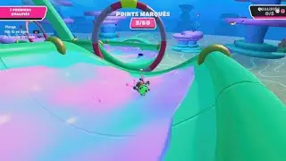 Fall Guys Bug