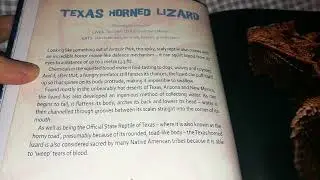 Reading Aloud: World's Weirdest Animals: Texas Horned Lizard (British Female)