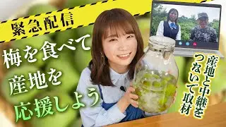 ※緊急企画※雹の被害に遭った 