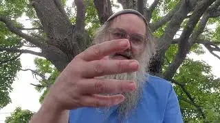 Torah and Oral law