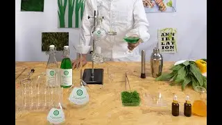 Algaebloom