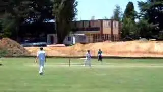 Cricket Shot Eric - cut