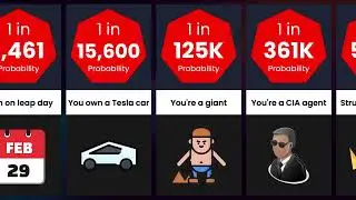 Probability Comparison: How Rare Are You?