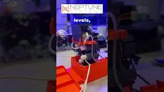 Neptune Apex Trident Mini: Upgrade Your Reef-Keeping Game!