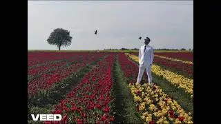 08.Predi - Taka Cwana Hop Do Przodu?