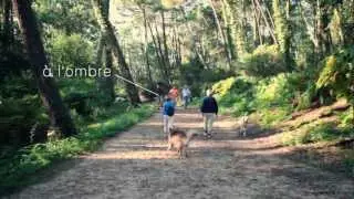 La For&ecirc;t &agrave; Anglet - C&ocirc;te Basque