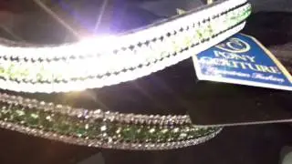 Lime Green Luxury Bespoke Crystal Browband