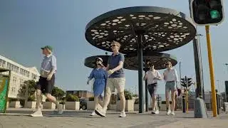 Discover the Beauty of V&A Waterfront