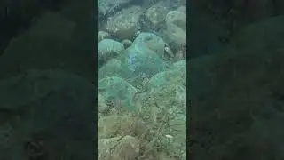 sin filtro ni ediciones. todo est&aacute;ndar