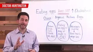 Will Eating Eggs Raise Your Cholesterol? | BodyManual