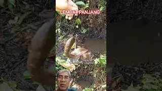Mancing lubang lembat