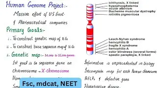Human genome project | class 12