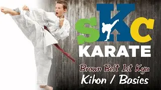 Karate Shotokan Brown 1kyu Belt Basics kihon