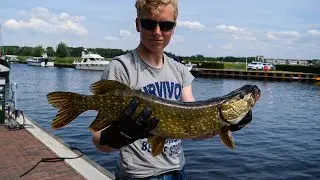 7 GROTE VISSEN GEVANGEN! SNOEK - FOREL Afl37